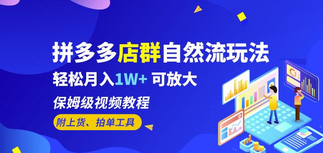 拼多多店群自然流玩法,轻松月入1W+保姆级视频教程(附上货、拍单工具) 拼多多店群自然流玩法,轻松月入1W+保姆级视频教程(附上货、拍单工具)