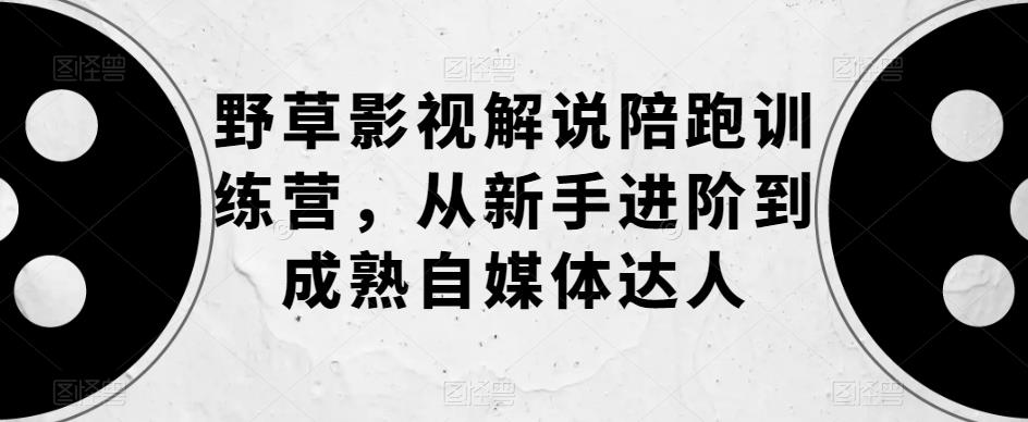 野草影视解说陪跑训练营,从新手进阶到成熟自媒体达人