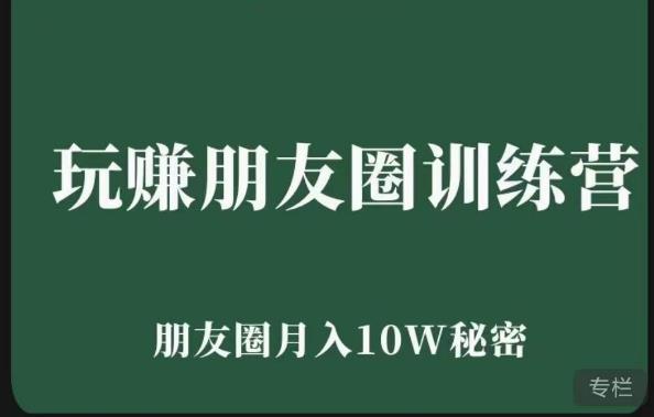 玩赚朋友圈系统课,朋友圈月入10W的秘密,7天系统图文课程
